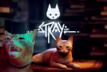 متطلبات تشغيل stray
