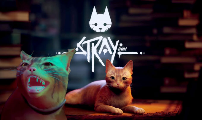 متطلبات تشغيل stray